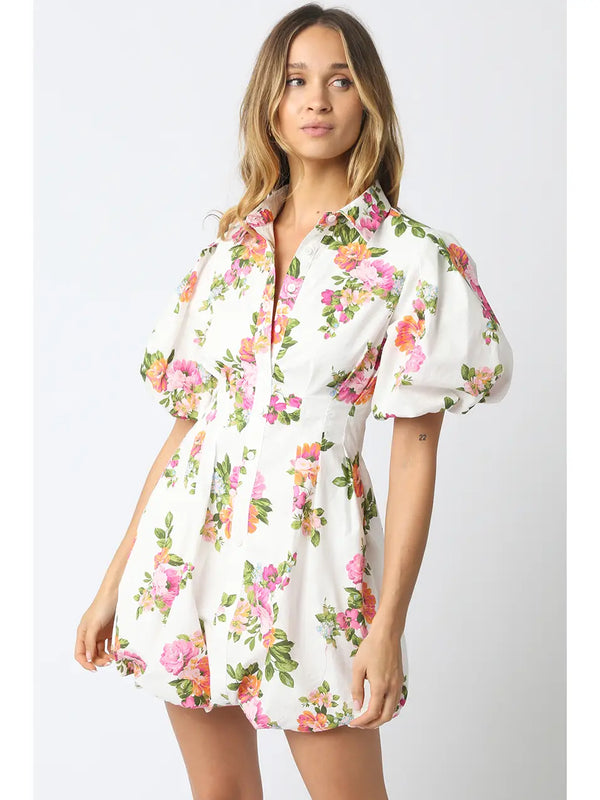 Color Me Summer Collection