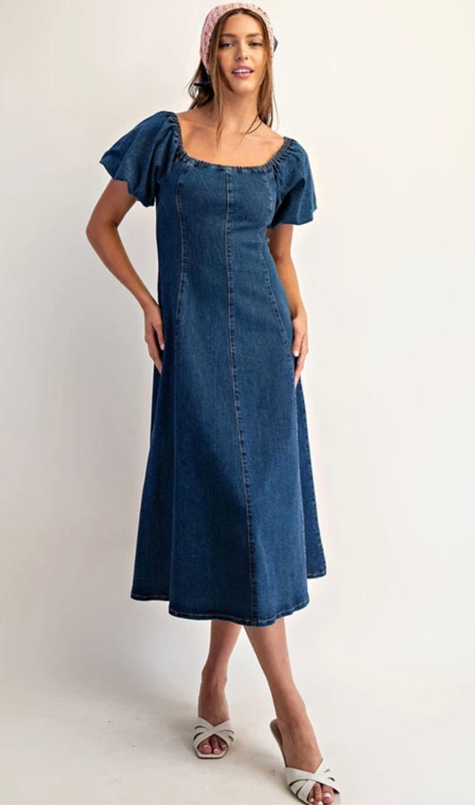 Denim Darling Maxi Dress